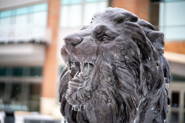 A lion statue covered with a thin layer of ice.